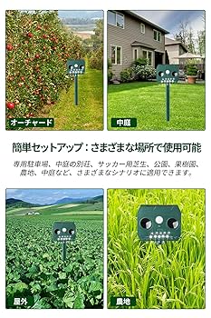 Amazon | DODOGOD 動物撃退器 猫避け対策 動物撃退器 【2024新